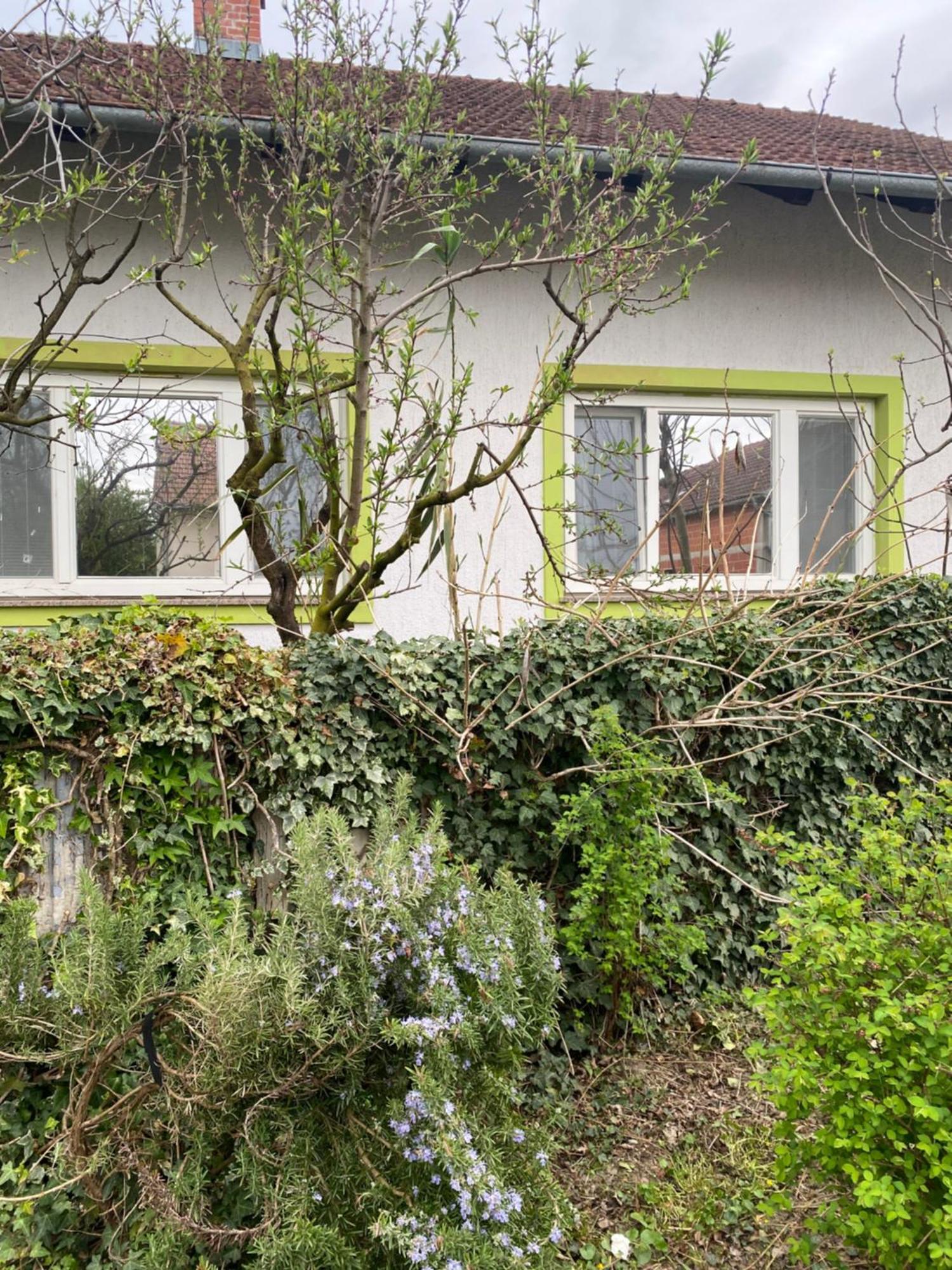 Apartment Hiza 38 Mala Subotica Eksteriør bilde